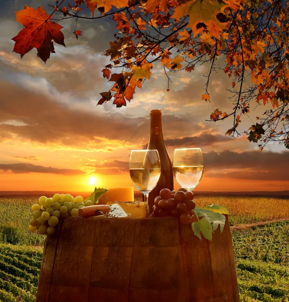Weißwein mit Fass auf Weinberg in Chianti, Toskana, Italien — Stockfoto