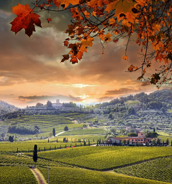 Paisagem vinícola de Chianti na Toscana, Italia Imagens Royalty-Free