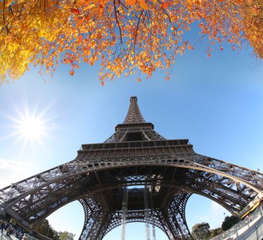 Paris, Fransa 'da sonbahar yapraklı Eyfel Kulesi