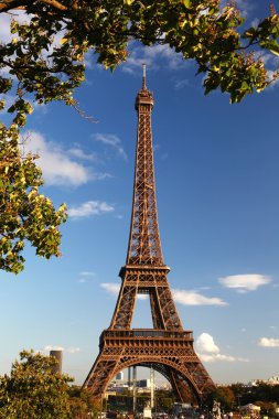 Paris, Fransa 'da sonbahar yapraklı Eyfel Kulesi