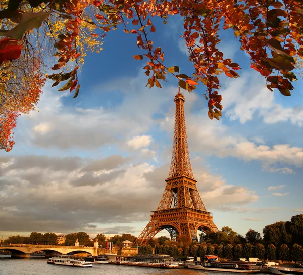 Ейфелева вежа з осіннім листям у Парижі (Франція). Стокове Зображення