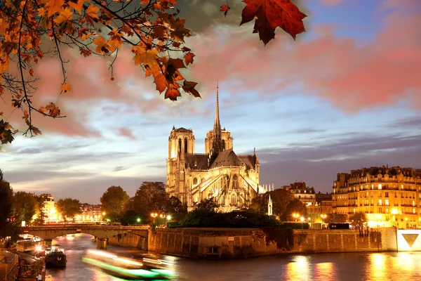 Notre Dame cathedral during autumn in Paris, France — Stock Photo, Image