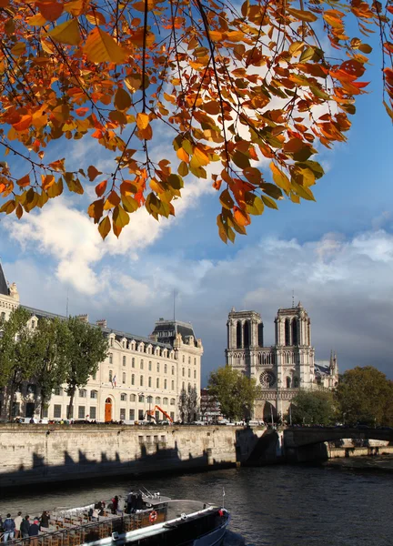 Catedral de Notre Dame durante el otoño en París, Francia —  Fotos de Stock