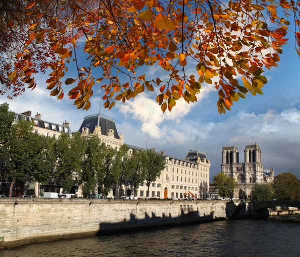 Notre Dame katedral om høsten i Paris, Frankrike – stockfoto