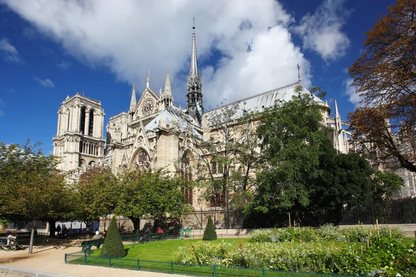 Katedra Notre Dame w Paryżu, Francja — Zdjęcie stockowe