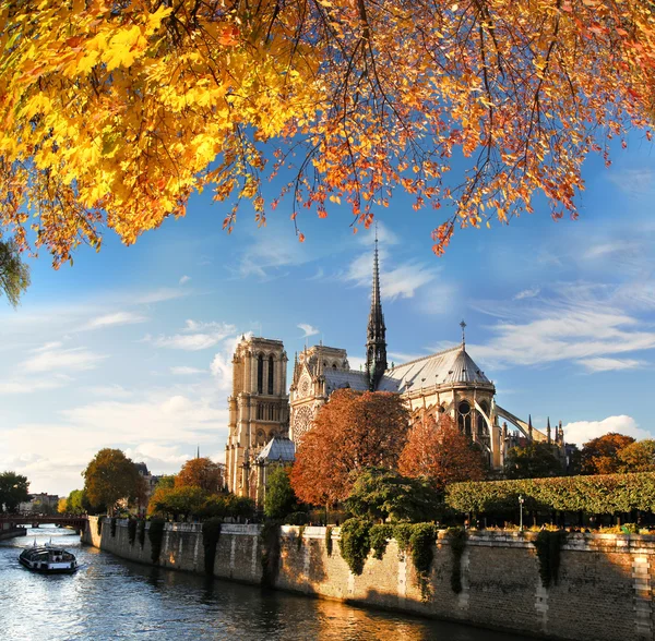 Notre Dame con barco en el Sena en París, Francia —  Fotos de Stock