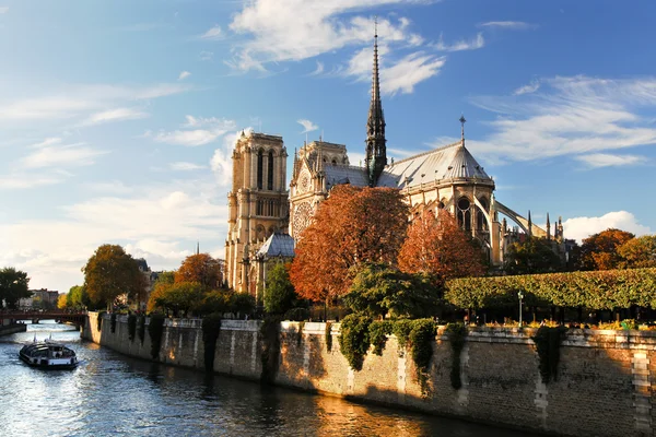 Notre Dame de Paris in the evening, France — Stock Photo, Image