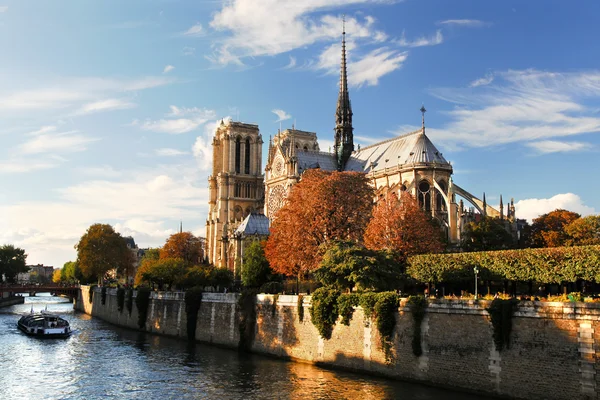 Notre dame de paris v večer, Francie — Stock fotografie