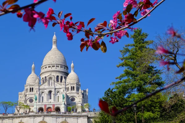 Basilique du Sacré Coeur Katedrali Paris, Fransa'da bahar süre boyunca — Stok fotoğraf