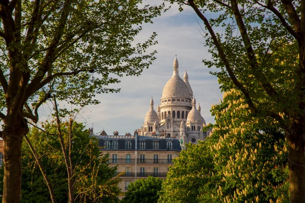 Sacre Coeur Cathedral during spring time in Paris, France — Stock Photo, Image