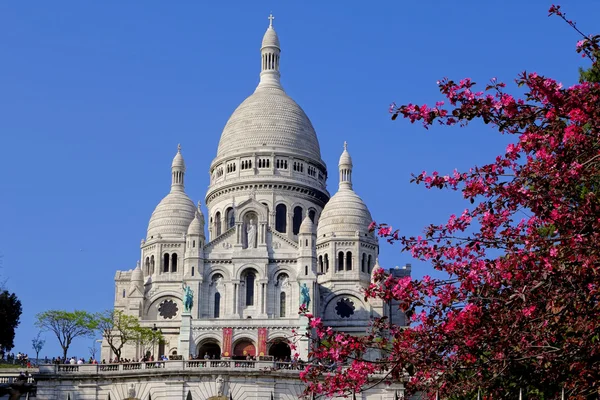 Sacre Coeur Cathedral during spring time in Paris, France — Stock Photo, Image