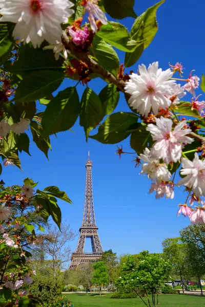 Torre Eiffel durante la primavera en París, Francia — Foto de Stock