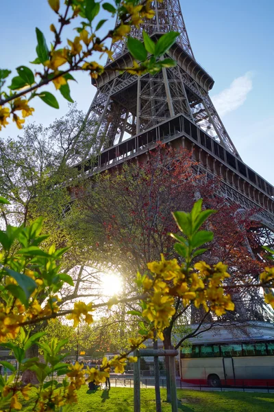 Torre Eiffel durante a primavera em Paris, França — Fotografia de Stock