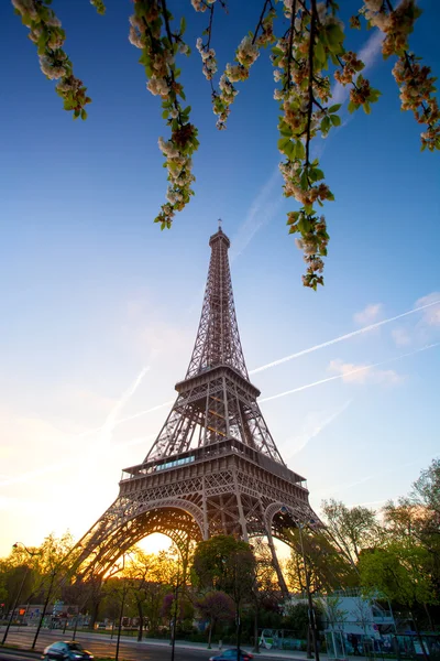 Eiffelturm im Frühling in Paris, Frankreich — Stockfoto