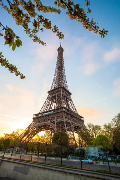 Torre Eiffel durante a primavera em Paris, França — Fotografia de Stock