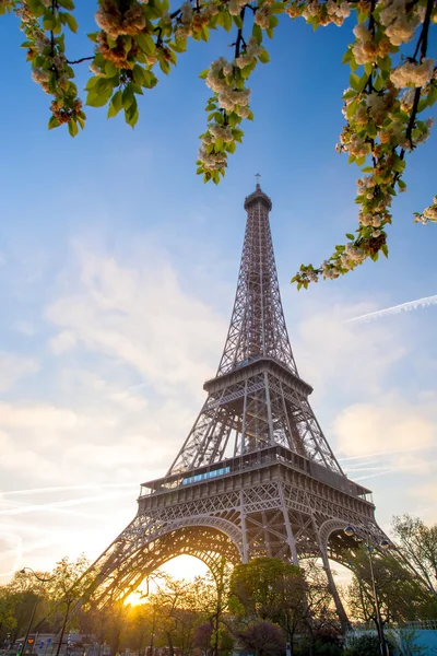 Torre Eiffel durante a primavera em Paris, França — Fotografia de Stock