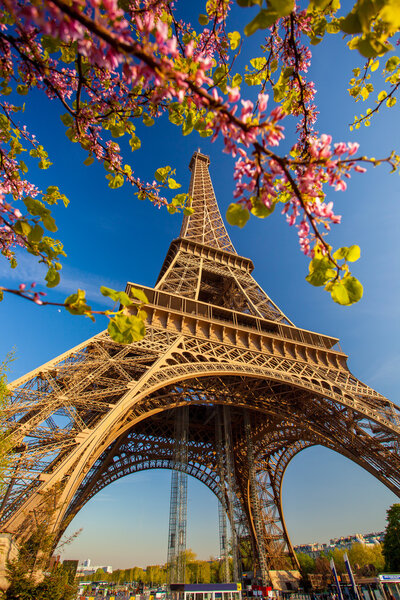 Tour Eiffel au printemps à Paris, France — Photo