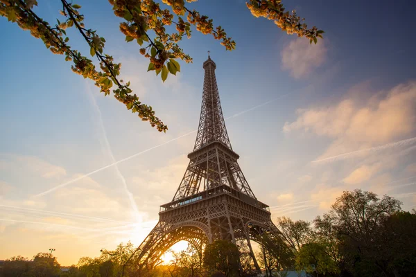 Torre Eiffel durante la primavera en París, Francia —  Fotos de Stock