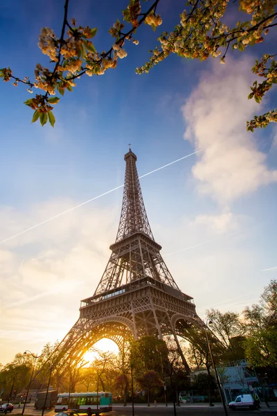 Eiffeltoren tijdens de lentetijd in Parijs, Frankrijk — Stockfoto