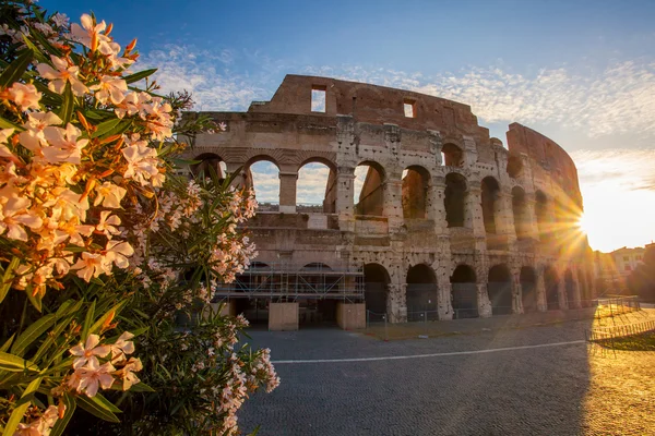 春時、ローマ、イタリアのコロッセオ — ストック写真