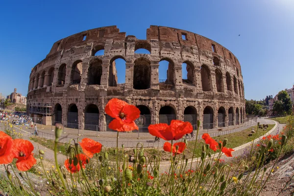 Coliseu durante a primavera, Roma, Itália — Fotografia de Stock