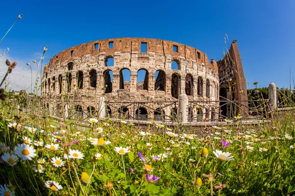 Coliseu durante a primavera, Roma, Itália — Fotografia de Stock