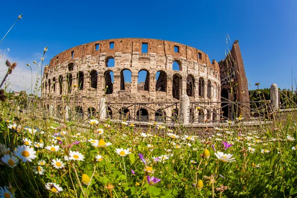 Colosseum alatt tavasszal, Róma, Olaszország — Stock Fotó