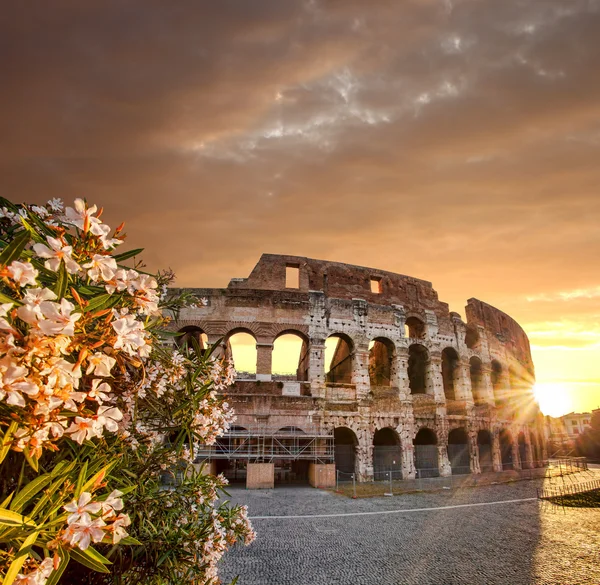 Coliseu durante a primavera, Roma, Itália — Fotografia de Stock