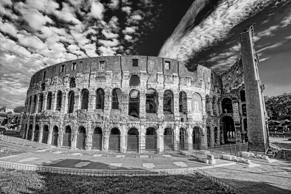 Colosseum during spring time, Rome, Italy — Stock Photo, Image