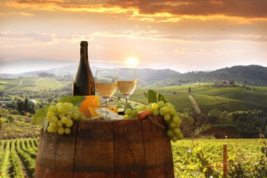 beyaz şarap ile namluyu bağ in chianti, Toskana, İtalya