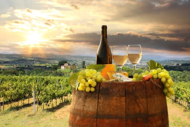 beyaz şarap ile namluyu bağ in chianti, Toskana, İtalya