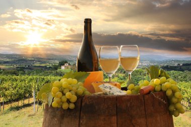 beyaz şarap ile namluyu bağ in chianti, Toskana, İtalya
