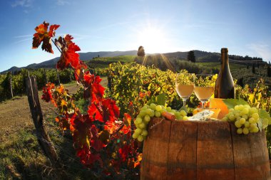 beyaz şarap ile namluyu bağ in chianti, Toskana, İtalya