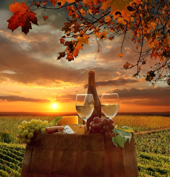 Бутылка белого вина с бочкой на винограднике в Кьянти, Тоскана, Италия — стоковое фото