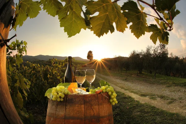 Bouteille de vin blanc avec tonneau sur vignoble dans le Chianti, Toscane, Italie — Photo