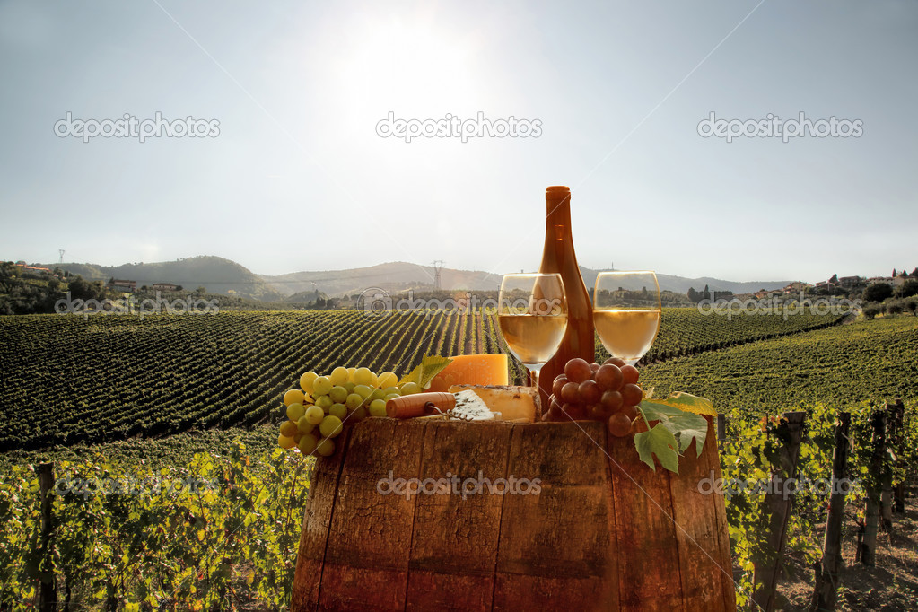 Bottle of white wine with barrel on vineyard in Chianti, Tuscany, Italy