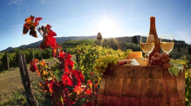 beyaz şarap ile namluyu bağ in chianti, Toskana, İtalya