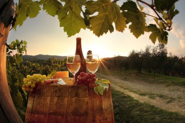 beyaz şarap ile namluyu bağ in chianti, Toskana, İtalya