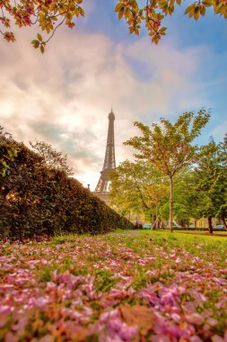 coche de carreras de juguete rojo con una raya