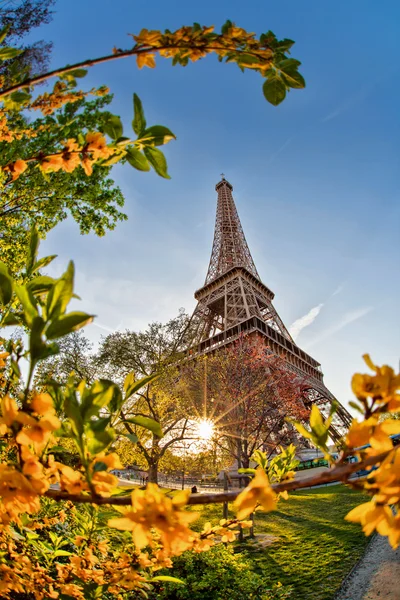 Torre Eiffel durante a primavera em Paris, França — Fotografia de Stock