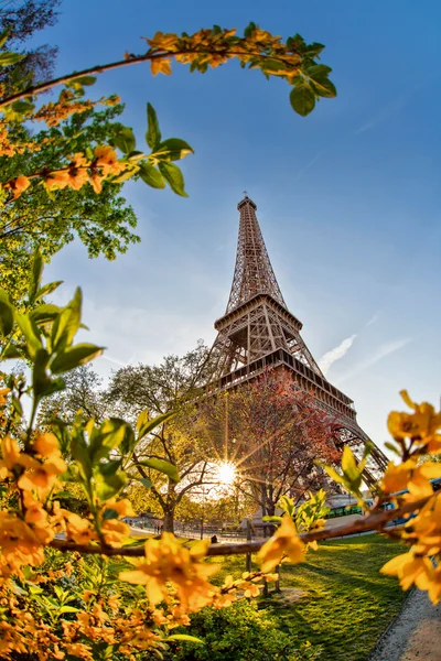 Torre Eiffel durante la primavera en París, Francia —  Fotos de Stock