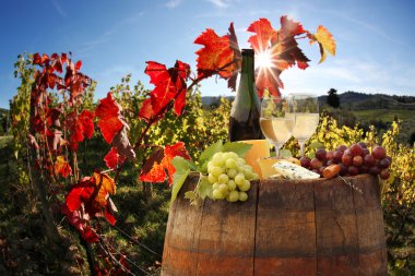 beyaz şarap ile namluyu bağ in chianti, Toskana, İtalya