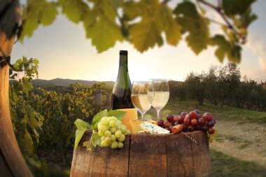 beyaz şarap ile namluyu bağ in chianti, Toskana, İtalya