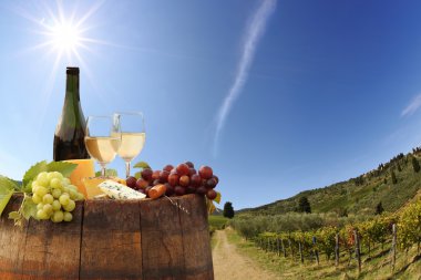 beyaz şarap ile namluyu bağ in chianti, Toskana, İtalya