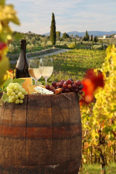 Bottle of white wine with barrel on vineyard in Chianti, Tuscany, Italy