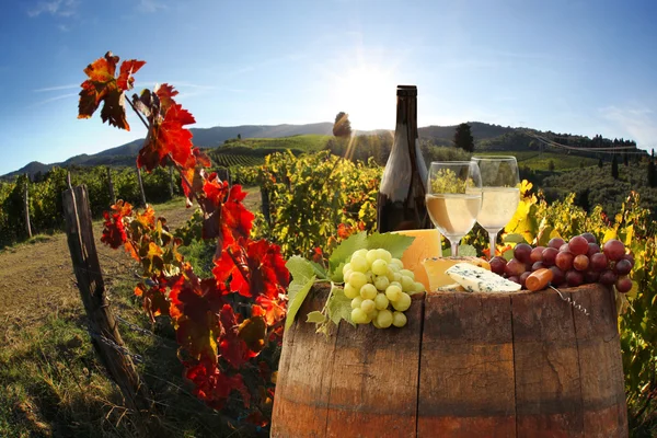 Garrafa de vinho branco com barril na vinha em Chianti, Toscana, Itália — Fotografia de Stock