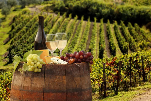 Bottiglia di vino bianco con botte su vigneto in Chianti, Toscana, Italia — Foto Stock