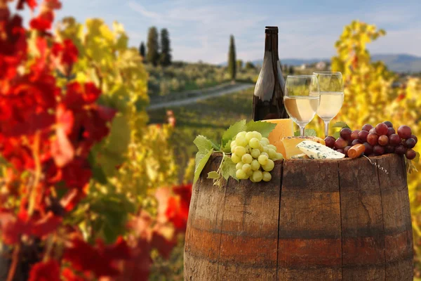 Botella de vino blanco con barril en viñedo en Chianti, Toscana, Italia —  Fotos de Stock