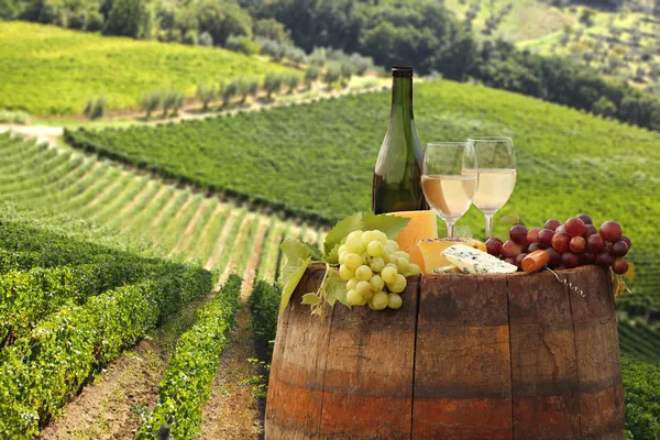 白色带瓶葡萄酒的葡萄园在托斯卡纳，基安蒂意大利每桶 — 图库照片#