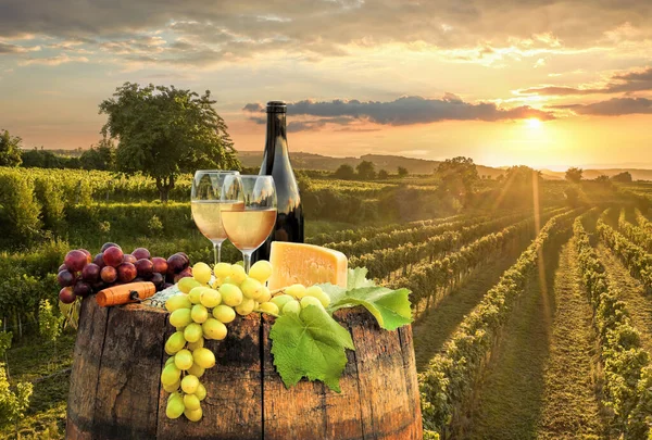Sunset Wachau Valley Bottle Wine Barrel Golden Vineyards Austria — Stock Photo, Image